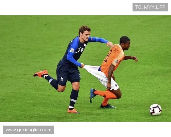 马赛回旋进化论从齐祖到现代的应用革新